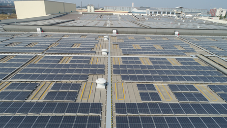 綠色創(chuàng)新，陽(yáng)光動(dòng)力 維他檸檬茶積極布局新能源，以太陽(yáng)能發(fā)電助力碳達(dá)峰、碳中和